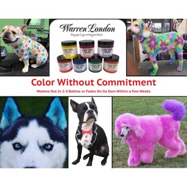 Warren London Critter Color Temporary Pet Fur Coloring Easy to Use- 7 Colors- Made in USA- Blue