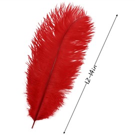 10Pcs Bulk Natural Red Ostrich Feathers,12-14 inch (30-35cm) Beautiful Long Feather for Crafts,Wedding Centerpieces Party Home Decoration,Dress and Christmas DIY (Red, 12-14in)