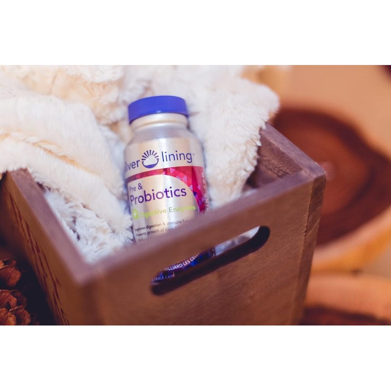 Silver Lining Pre & Probiotics + Digestive Enzymes | 50