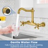 Airuida Wall Mounted 8 Inch Center Kitchen Sink Faucet Commercial