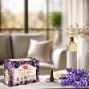 Hem Cones Precious Lavender - Case Of 12 Boxes, 10