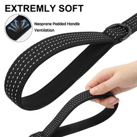 Dlitk Dog Leash Set (4Ft+2FT) Nylon,2 Handles by Padded Traffic Handle for Extra Control,Reflective Dog Leash for Medium Large dogs, Black