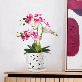 BUYMAX 7 Inch Large Orchid Pots with Holes & Saucers for Orchid Root Health, Ceramic Orchid Planter, Effective Drainage and Ventilation to Assist New Plants or Repotting
