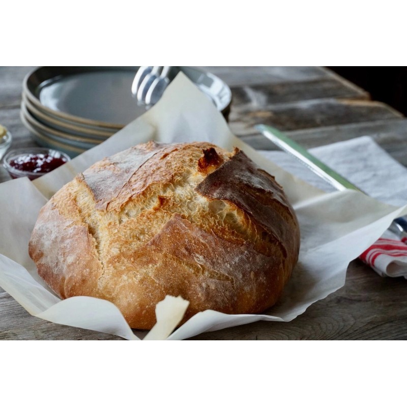 Heritage Sourdough Sourdough Starter DEHYDRATED Organic 175+ Year Old Italian