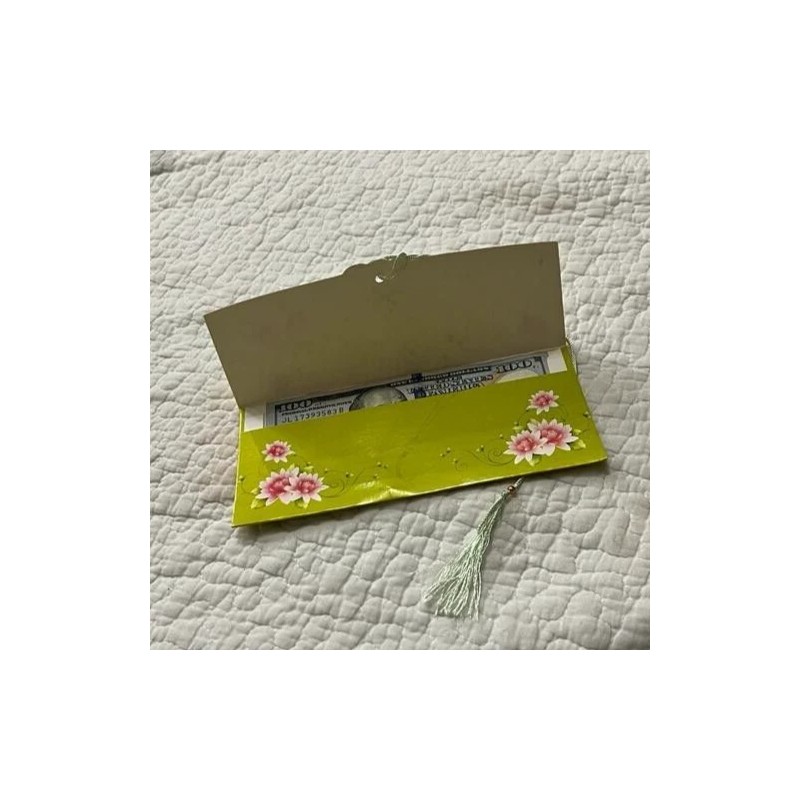 One Money Cash Gift Envelope Lucky Cash Gift Envelop or