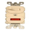 Leviton 5226-T 15 Amp, 120 Volt, Duplex Style Single-Pole, Neon