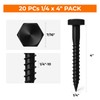 1/4 x 4 Black Lag Bolts, 10 PCs Dacromet-Coated 304