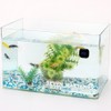 Aquarium Thermometer ℃/℉ Switch LCD Digital Fish Tank High Digital