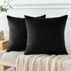 OTOSTAR Pack of 2 Velvet Soft Decorative Throw Pillow Covers