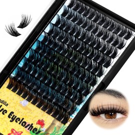 Dedila Large Pack Cluster Eyelash Extensions D Curl Wide Stem Mixed 10-12-14-16mm /12-14-16mm/14-16-18mm Individual False Eyelashes Dramatic Volume Eye Lashes Set (mixed 14-16-18mm)
