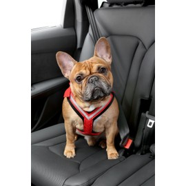 Kleinmetall 15390100 Hundesicherheitsgurte, S