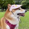 SSKHE 1 Pack Dog Baseball Cap with Plaid Pattern -