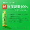 Itoen Oi Ocha Green Tea (With Matcha) 0.06 oz (1.8