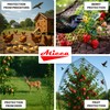 Aticca Heavy Duty Bird Netting for Garden Protection & Fruit