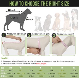 Lukovee Dog Raincoat - Lightweight Hooded Dog Rain Coat for Large Medium Small Dogs, Adjustable Poncho Jacket with Reflective Stripes & Built-in Storage Pocket (Green, X-Small)