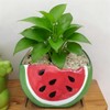 Cute Watermelon Shape Ceramics Planters, Ceramic Succulent Pots with Drainage
