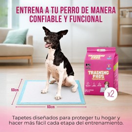 Tapete Entrenador para Perro - 1 Pack 60x60cm - 6 Capas Absorbentes - Impermeable - Almohadillas Desechables Antifugas - Entrenamiento Cachorros y Perros