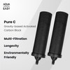 AquaEasy BB9 Activated Carbon Water Filter Candle(2 Piece) Replacement Gravity