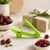 Cherry Pitter Tool for Kitchen Fruit Prep – Stainless Steel
