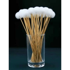 Pollen brush fertilization stick fruit pollination crossbreeding manual tool male flower hair crossbreeding artificial insemination stand, 01. Bamboo handle goose feather-, 3 pcs / 꽃가루 붓 수정 스틱 과일 수분 교배 수동 도구 수꽃 털 교잡 인공수정용 대, 01. 대나무손잡이거위깃털-, 3개