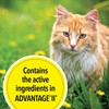 TevraPet Actispot II Flea Treatment for Small and Medium Cats