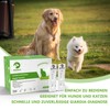 TAEING 10 x for quick detection of Giardia in dogs