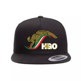 Snap-Back Hidalgo Mexico Snapback Hat, Trucker Cap, Custom Hat for Men and Women