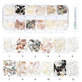 DFsucces Nail Parts, 36 Types, Natural Shell Stone, Nail Stone Parts, Resin, Gel Nails, Seashell Stone, Diamond Pearl, Nail Supplies, Storage Case Included (3 Boxes)