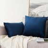 MIULEE Velvet Soft Soild Decorative Square Throw Pillow Covers Cushion