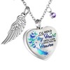 MOSURNSJWY Heart Cremation Urn Necklaces Ashes Jewelry for Women Men
