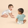 The Honest Company Clean Conscious Diapers for Delicate Skin |