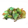 Crystal Candy Edible Leaves, 1 Jar of 6 Grams