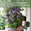 EESC2Y 40-PCs Orchid Clips for Plants Support - Dark Green,