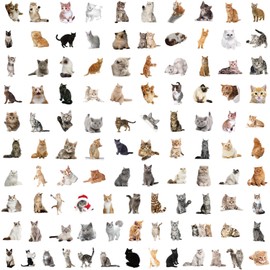 100PCS Stickers for Cartoon Cat,Cat Stickers,Teens Boys and Girls Sticker Pack Vinyl Skateboard Guitar Door Laptop Luggage Car Bike Water Bottle Birthday Party Supplies Stickers