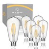 HUDSON BULB CO. Vintage Edison LED Light Bulbs 6W (6