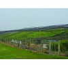 Stromberg’s 2” Mesh Heavy Duty Knotted Aviary Netting, UV Resistant