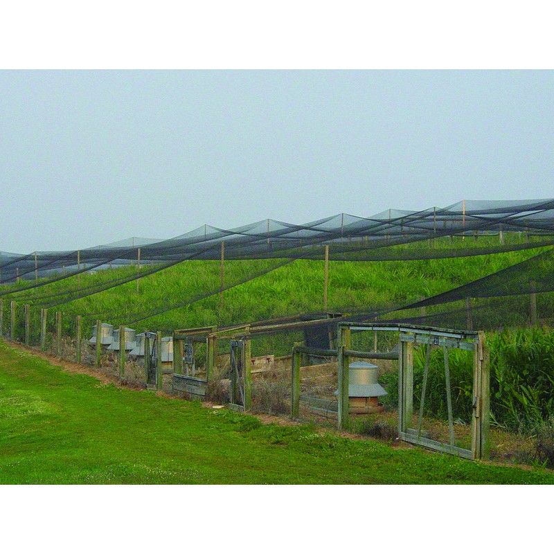 Stromberg’s 2” Mesh Heavy Duty Knotted Aviary Netting, UV Resistant