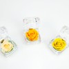 Rosa Eterna De Flores Conservadas Con Caja De Regalo Para