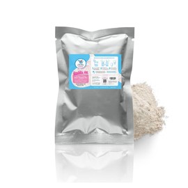 Ice cream & paleta dairy powder mix ESSENTIAL MIX (5.4 lb)