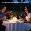 MALUX Outdoor Lamp LED Outdoor Table Lamp