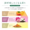 【MEGUMI Development】Aurelie (オレリー) Wrinkle Repair Boost Lotion Toner Skincare