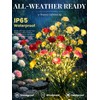 GIGALUMI 4 Pack Solar 28 Carnations Flowers Outdoor, 2 Modes,
