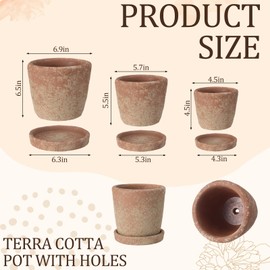 Yungyan Set of 3 Rustic Terracotta Planter Pot and Saucer 5/6/7 Inch Aged Farmhouse Style Flower Pot Distressed Finish Cement Planter with Drainage Hole for Indoor Outdoor Garden, Patio, Porch