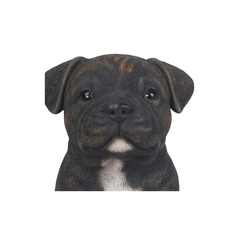 Vivid Arts - Pet Pals Brindle Staffordshire Home or Garden