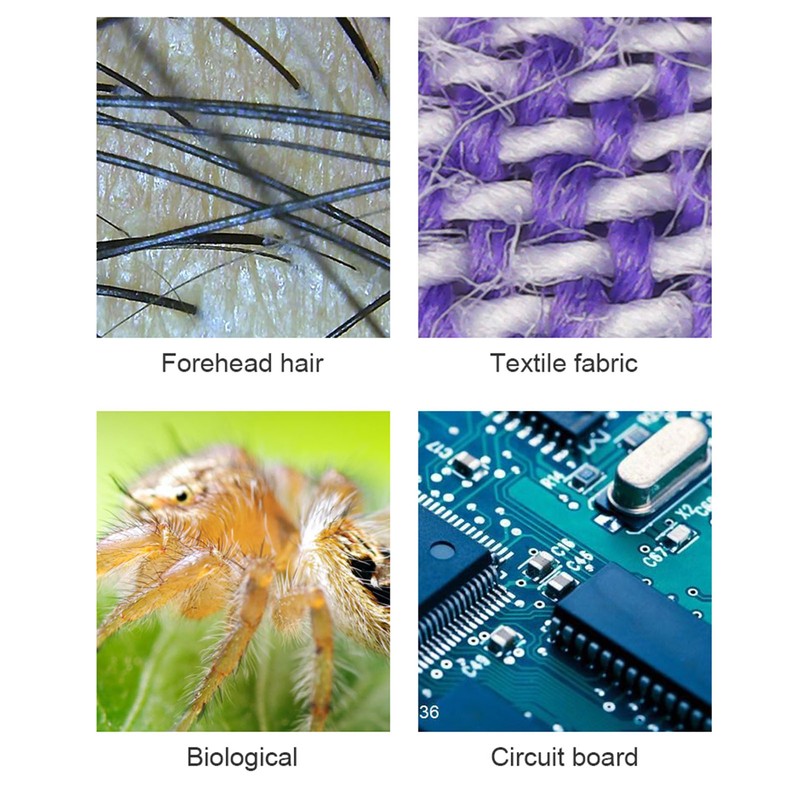 Portable Microscope USB 50X‑1000X Magnification 640x480P Resolution 360 Degree Rotatable