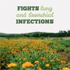 St. Francis Respirafect Lung Infections Tincture - 50ml - Coughs,