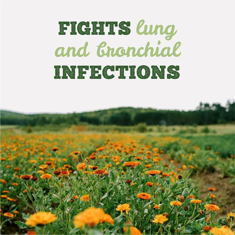 St. Francis Respirafect Lung Infections Tincture - 50ml - Coughs,