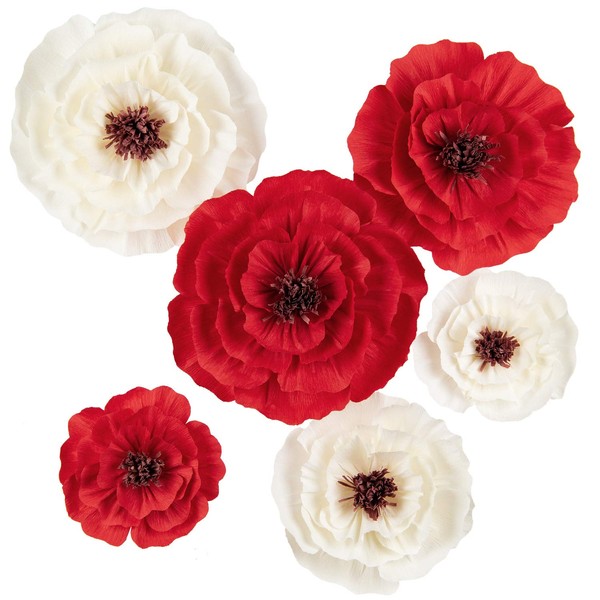 MEJOY Paper Flower Decorations for Wall, Flower Wall Decor for