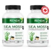 Renew Actives Sea Moss Capsules - Premium Triple-Action Antioxidant Blend