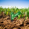 ECOWITT GW1206 Soil Moisture Tester Kit, Includes GW1200 IoT Wi-Fi